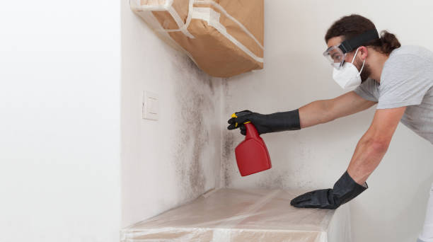 Professional Crawl Space Mold Removal technician working in Kingsley, MI