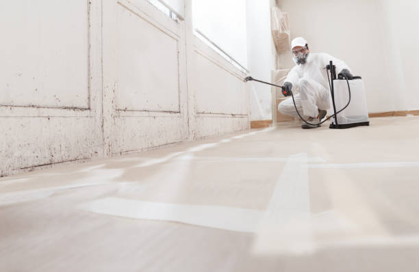 24/7 Emergency Crawl Space Mold Removal experts in Kingsley, MI