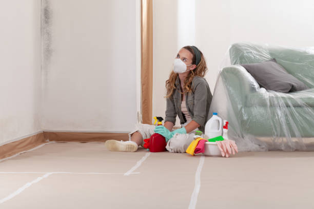 Trusted Crawl Space Mold Removal service in Kingsley, MI - Cheap Mold Removal